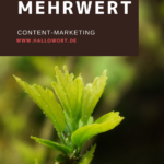 Mehrwert Definition B2B Content-Marketing