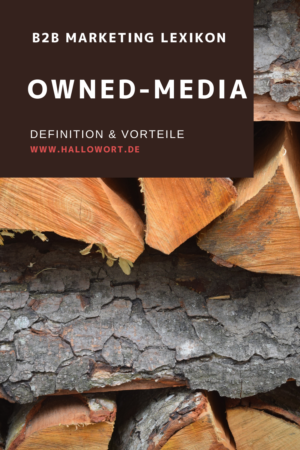 Owned-Media Definition und Vorteile B2B Content Marketing